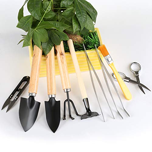 LIHAO 10 Piezas Mini Herramientas para Bonsái Kits de Herramientas de Jardinería Plantación de Cactus Suculentas Plantas Maceta