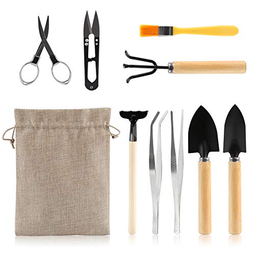 LIHAO 10 Piezas Mini Herramientas para Bonsái Kits de Herramientas de Jardinería Plantación de Cactus Suculentas Plantas Maceta