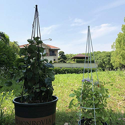 LUNAH Enrejado de jardín, Marco de Escalada para Plantas, Torre de Enrejado, Soporte para Plantas, Estante de Flores para Plantas trepadoras, para el hogar, jardín, trepadoras, vides, Soportes par
