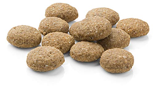 Mera Pure Sensitive Adult - Pienso de salmón y arroz para Perros, para la Dieta Diaria de Perros con alergias alimenticias