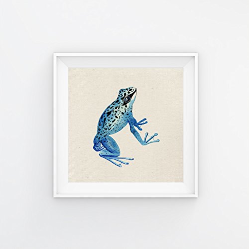 Nacnic Pack de láminas para enmarcar Tres Ranas. Posters Cuadrados con imágenes de Ranas. Decoración de hogar. Láminas para enmarcar. Papel 250 Gramos