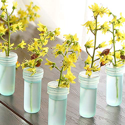 Nuluxi Flores Tubos de Agua de Plástico Transparentes Floristería Flor Contenedor De Agua Tubo De Flores Suministros Florales para Flores, Floristería, Arreglos Florales y Plantas Hidropónicas (4cm)