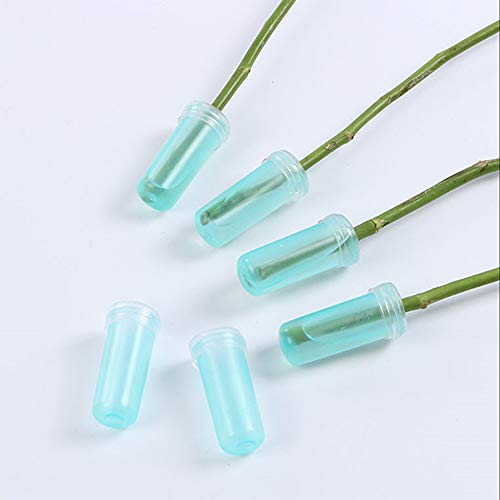Nuluxi Flores Tubos de Agua de Plástico Transparentes Floristería Flor Contenedor De Agua Tubo De Flores Suministros Florales para Flores, Floristería, Arreglos Florales y Plantas Hidropónicas (4cm)