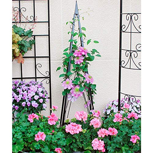 Obelisco de jardín Soporte de flores de enrejado de metal para enredaderas y plantas, Estante de vid de flores para plantas de jardín Soporte de soporte de enrejado para macetas de escalada Suministro