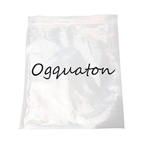 Ogquaton Tanque de condimento de Acero Inoxidable Tarro de Especias con Mango y Tapa de Acero Inoxidable Dispensador de Calidad de Restaurante