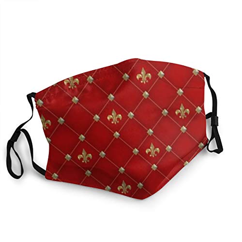 Pasamontañas para nariz y boca, diseño vintage de flor de lis en color rojo, lavable, transpirable, reutilizable y multifuncional, para hombres y mujeres