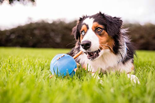 Planet Dog - Pelota de golosinas, color azul