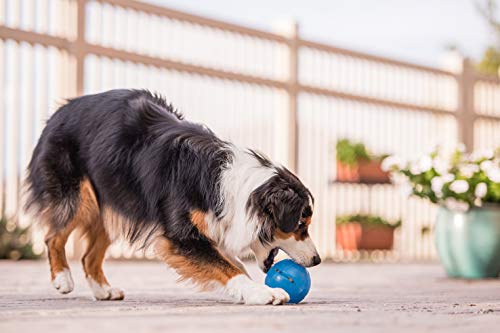 Planet Dog - Pelota de golosinas, color azul