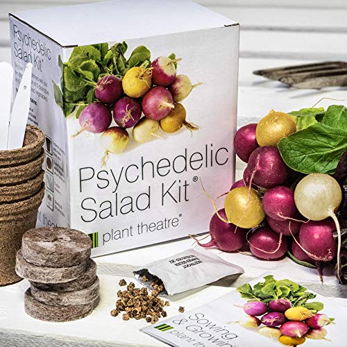 Plant Theatre 571330A - Kit de germinación Vegetales exóticos de ensaladas