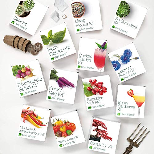 Plant Theatre 571330A - Kit de germinación Vegetales exóticos de ensaladas