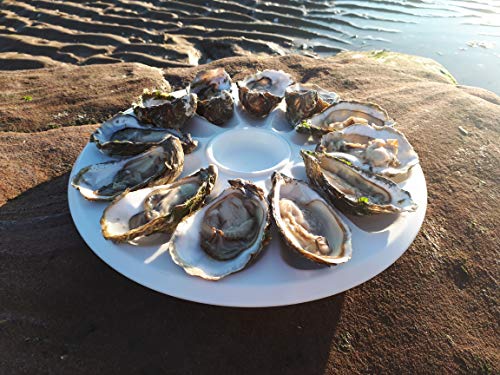 Plato de ostra simple de plástico - para 12 ostras, diámetro 31 cm