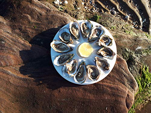 Plato de ostra simple de plástico - para 12 ostras, diámetro 31 cm