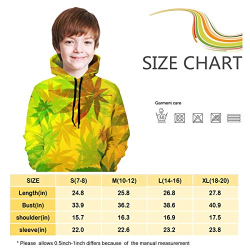 PNdeid 3D Print Weed Reggae Colorido Marihuana Cannabis Hojas Adolescente Sudadera Hipster Hip Hop Gimnasio Sudaderas