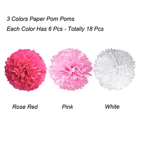 Pompon de papel de seda, bolas de papel en forma de flor para fiestas de cumpleanos, bodas, baby shower, shower de novia o decoracion de festivales, 18 unidades , Rosa, rosa y blanco