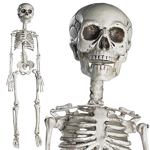 PREXTEX - Esqueleto de 76 cm para Halloween - Esqueleto de Cuerpo Entero con Articulaciones Movibles para la Mejor Decoración de Halloween