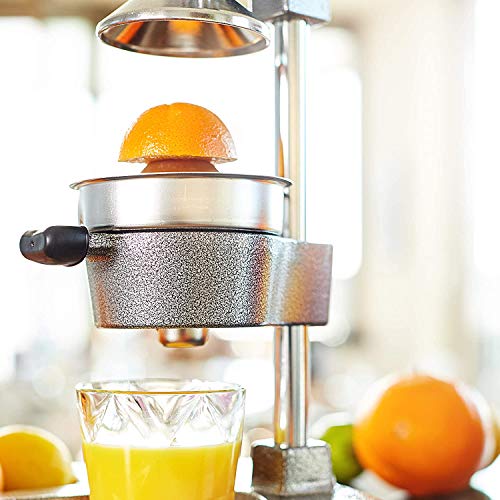 QXX Frutas, y Zumo a ManoExprimidor de Cítricos Profesional - Exprimidor de Naranjas
