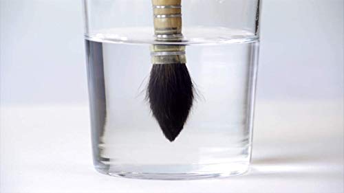 Raphael Serie 803 Pinsel Brush de Acuarela Petit Gris Redondo, Madera de Abedul, Raphael Brush Lavis Acuarela Gris puro Pure Mount Feather Serie 803 No.0 + Jabón gratis