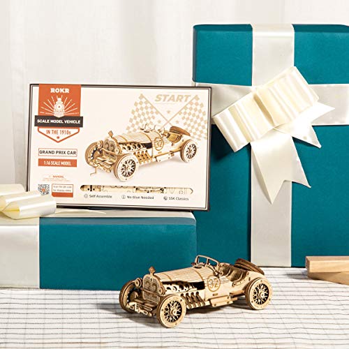ROKR Car Madera Maquetas para Construir - Maquetas para Montar - Set de Construcción Puzzle 3D para niños y Adultos (Grand Prix Car)
