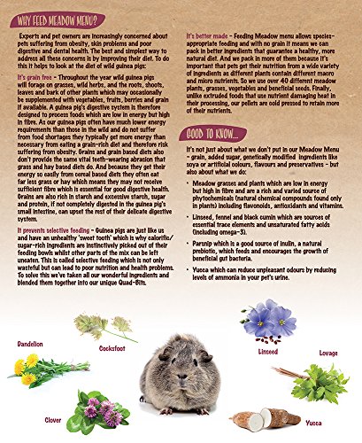 Rosewood Naturals Meadow Menu Guinea Pig Food Trade Pack 9kg