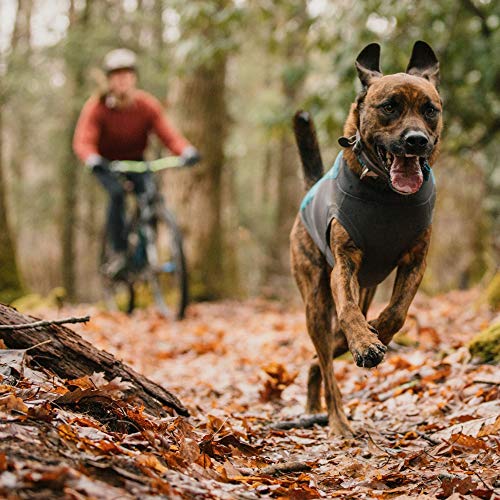 RUFFWEAR Jersey Climate Changer, Jersey para Perros, Cálido, Ligero, Resistente al Agua y con Mangas, Azul Hielo, L