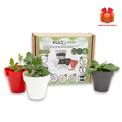 Set de Cultivo Fácil de Plantas Culinarias: Albahaca, Perejil y Hierbabuena. 3 Macetas y Discos de Semillas Siembra Fácil. Tu Propio Huerto en la Cocina.