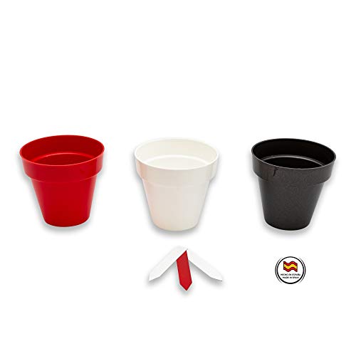 Set de Cultivo Fácil de Plantas Culinarias: Albahaca, Perejil y Hierbabuena. 3 Macetas y Discos de Semillas Siembra Fácil. Tu Propio Huerto en la Cocina.