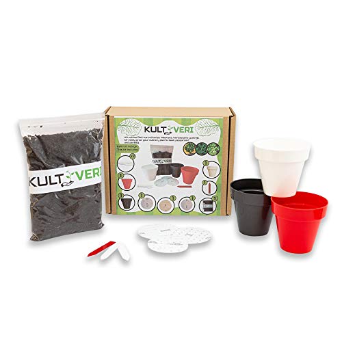 Set de Cultivo Fácil de Plantas Culinarias: Albahaca, Perejil y Hierbabuena. 3 Macetas y Discos de Semillas Siembra Fácil. Tu Propio Huerto en la Cocina.