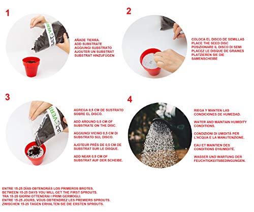 Set de Cultivo Fácil de Plantas Culinarias: Albahaca, Perejil y Hierbabuena. 3 Macetas y Discos de Semillas Siembra Fácil. Tu Propio Huerto en la Cocina.