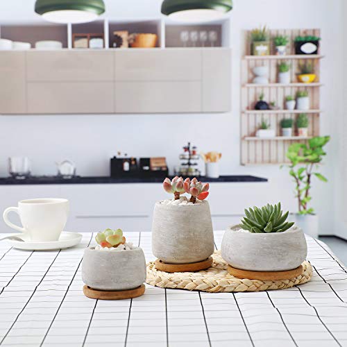 T4U Serie de Cemento Suculento Cactus Macetas Jardineros de Macetas Contenedores Cajas de Ventana Colección con Bandeja de Bambú, Paquete de 3