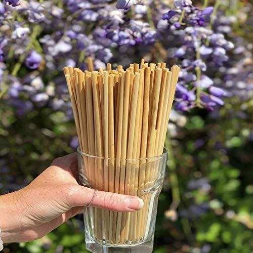 Terra Tu Pajitas de Trigo Naturales orgánicas Eco pajitas biodegradables Reutilizables ecológicas 20cm de Largo 100pcs Alternativa al Metal plástico y Silicona