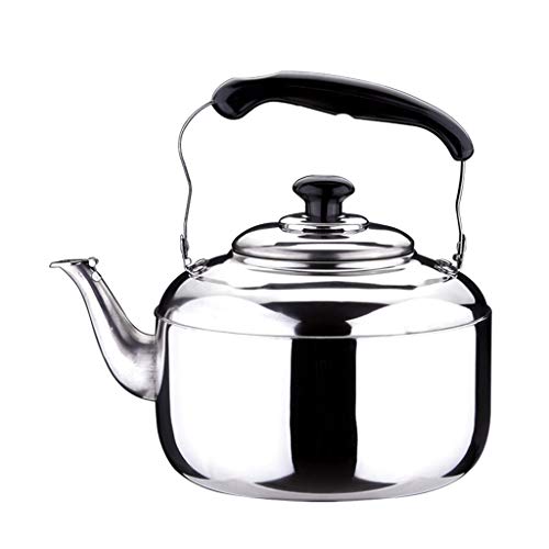 Tetera de Acero Inoxidable Complimentos de Cocina Casa Restaurante Herramienta - 5L