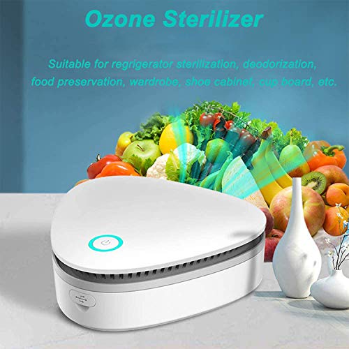 Thanblue - Generador de ozono de ojos, esterilizador recargable, purificador de aire, eliminador de olores y bacterias para la conservación de alimentos y esterilización de clóset