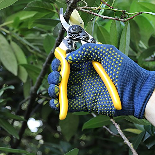 Tijeras de Podar jardín Profesional. Podadora Z-19 da 200mm. Pequena ligera Hoja en acero profesional recubierta de titanio, corte bypass. GARANTÍA HASTA 90 DÍAS.
