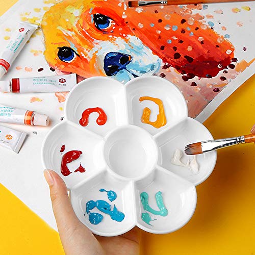 TOMYEER Porcelana 7 Así Daisy Mezcla Bandeja 6"