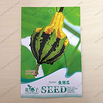 Vistaric Paquete original Semillas de plantas ornamentales, Semillas de calabaza de melón con aleta de tiburón, floración madura 80 días, 8 partículas semillas/bolsa