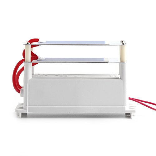 Walfront 7g 110V / 220V Generador de ozono Esterilizador de Purificador de Aire Ozonizador Integrado con Hojas Doble Placas de Cerámica (AC220V)
