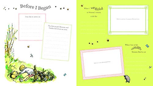Winnie-the-Pooh's Baby Book (Baby Record Book)