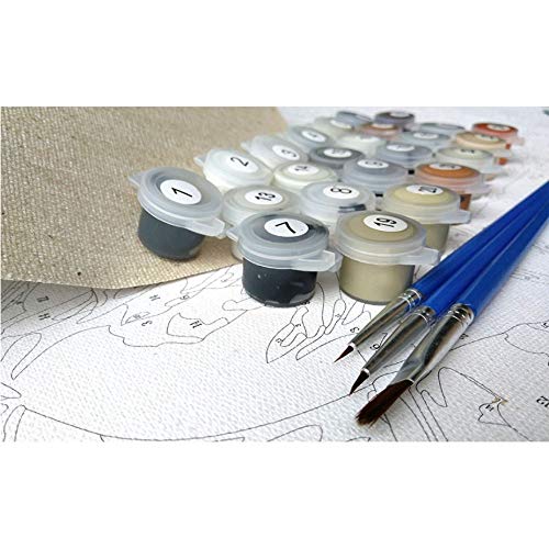 WYTTT Pintura por Números Número Vacaciones Cocolar Mar Paisaje Marino DIY Arte Moderno De La Pared Pintura De La Lona Decoración para El Hogar 16X20In Sin Marco