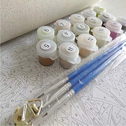 WYTTT Pintura por Números Número Vacaciones Cocolar Mar Paisaje Marino DIY Arte Moderno De La Pared Pintura De La Lona Decoración para El Hogar 16X20In Sin Marco
