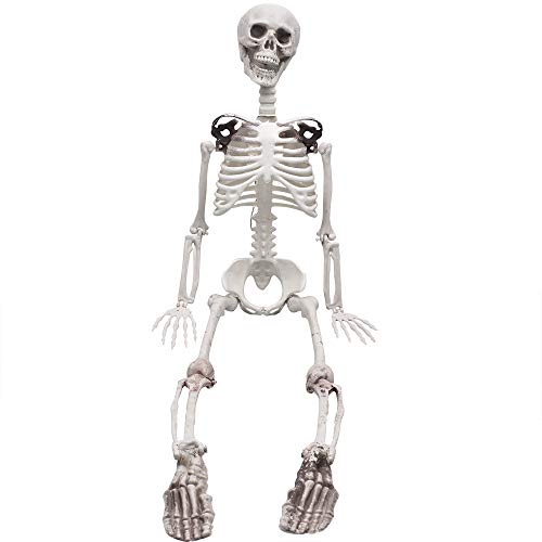 XONOR - Esqueleto de cuerpo completo de 90 cm con articulaciones móviles para decoración de Halloween