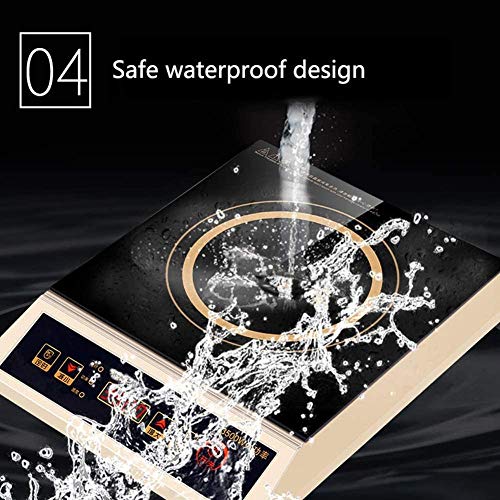 YAYY Placa de inducción portátil Profesional 3500W Cocina de inducción electromagnética Impermeable para el hogar para restaurantes y Eventos de Catering(Upgrade)