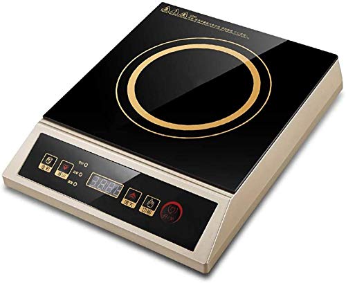 YAYY Placa de inducción portátil Profesional 3500W Cocina de inducción electromagnética Impermeable para el hogar para restaurantes y Eventos de Catering(Upgrade)