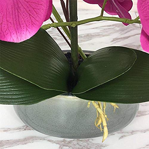 Ymwenj Flor Artificial Orquídeas De Seda Realistas Y Jarrones De Cerámica Decorativos Flores Artificiales Vivas Arreglan Plantas De Orquídeas En Maceta En Fucsia