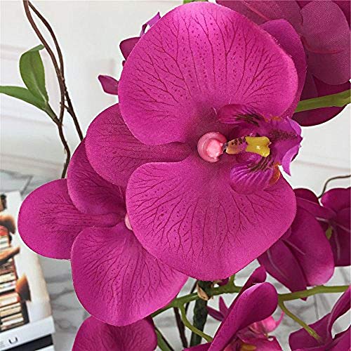 Ymwenj Flor Artificial Orquídeas De Seda Realistas Y Jarrones De Cerámica Decorativos Flores Artificiales Vivas Arreglan Plantas De Orquídeas En Maceta En Fucsia