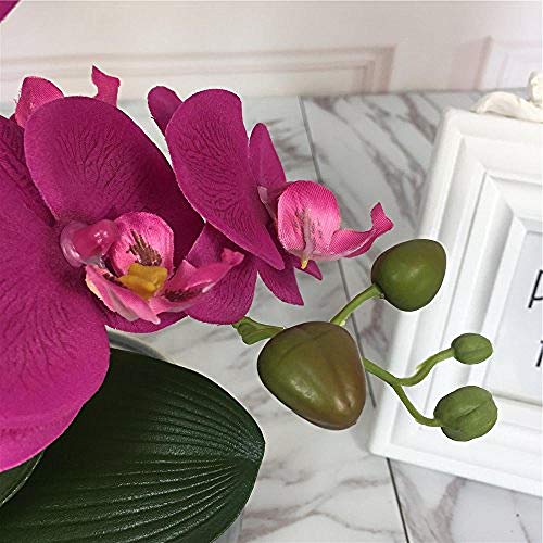 Ymwenj Flor Artificial Orquídeas De Seda Realistas Y Jarrones De Cerámica Decorativos Flores Artificiales Vivas Arreglan Plantas De Orquídeas En Maceta En Fucsia