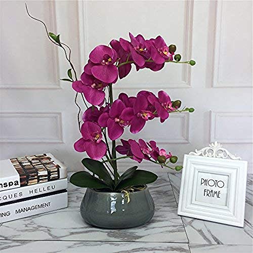 Ymwenj Flor Artificial Orquídeas De Seda Realistas Y Jarrones De Cerámica Decorativos Flores Artificiales Vivas Arreglan Plantas De Orquídeas En Maceta En Fucsia