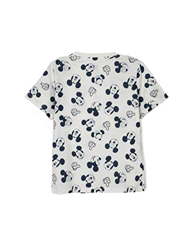 ZIPPY Pack 2 Camisetas Disney SS20, Light Grey Mel, 3/4 para Niños