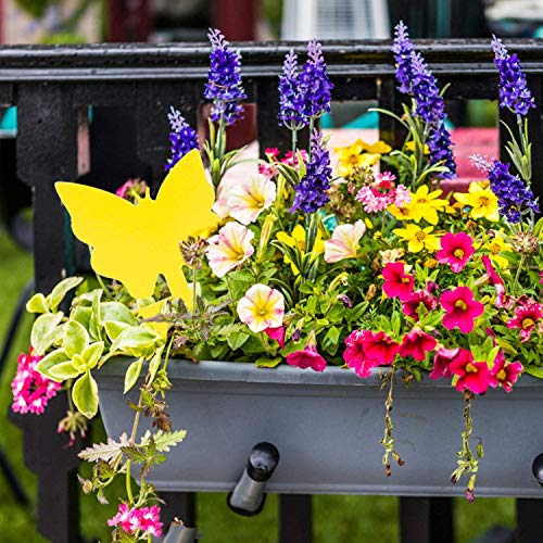 48 piezas de trampa de moscas enchufables placas amarillas planta de protección de adhesivo amarillo de los pulgones mosquito, moscas de hoja y alimañas, ideal para plantas en el balcón o en el jardín