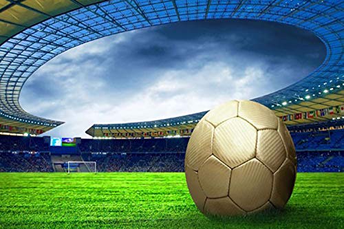 5D Diy Diamante Pintura por número Diamond Painting Kits Cuadrados Taladro lleno Rhinestone Bordado Campo de fútbol Artes de punto de cruz para la decor de la pared del hogar,60X40cm