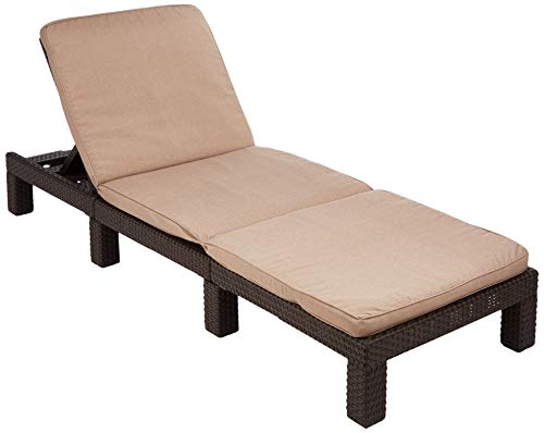 Allibert Daytona SL Tumbona, Color marrón y Gris Pardo, 195 x 65 x 22 cm